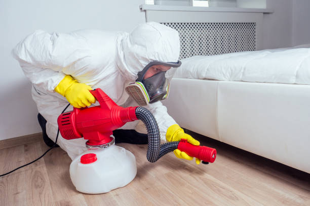 Best Mosquito Control Services  in Perry, OK