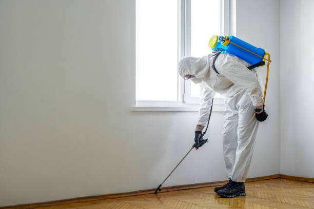 Best Wildlife Control Services  in Perry, OK