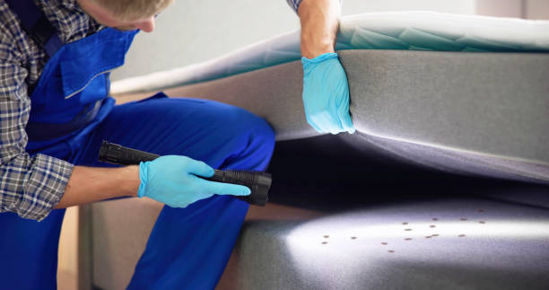 Trusted Perry, OK Pest Control Experts